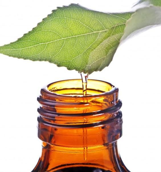Tea tree oil